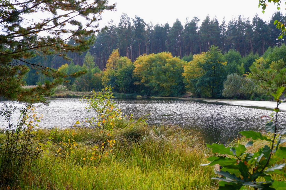 Songjianghe National Forest Park